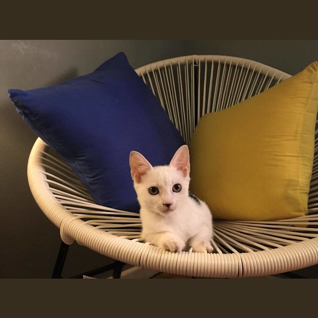 Photo of *Grace Kelly* A Princess In The Making!