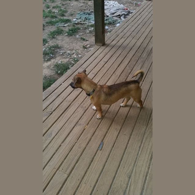 Photo of Bobby