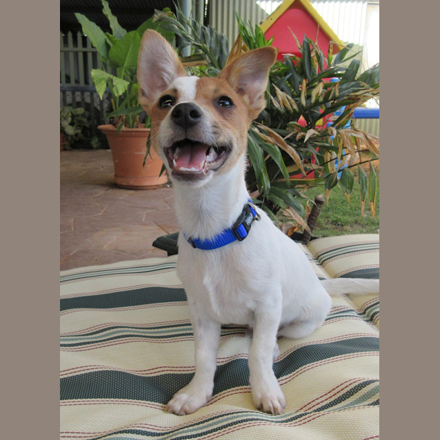 Photo of Cisco *On Trial In His New Home*