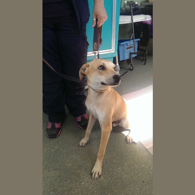 Photo of Sonny Id: 30113