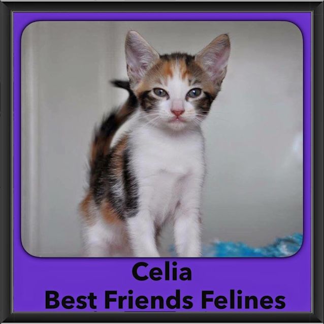 Photo of Celia