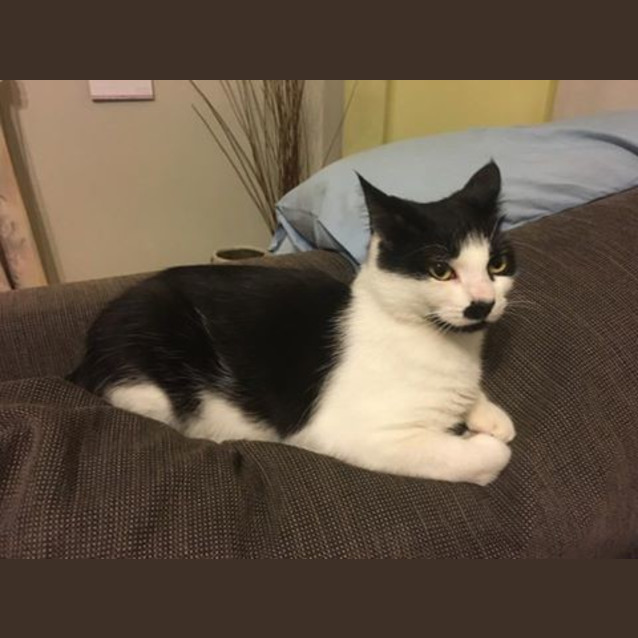 Photo of Kimmi