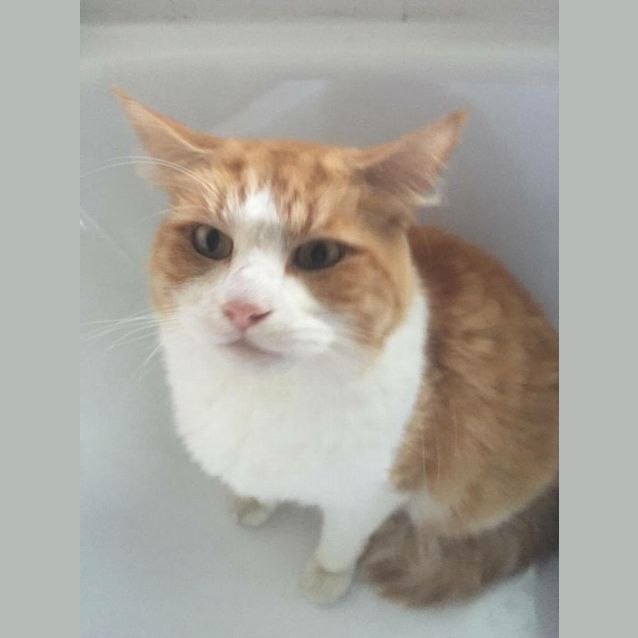 Photo of Ralph