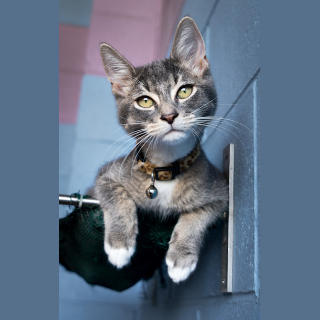 Photo of Charlie