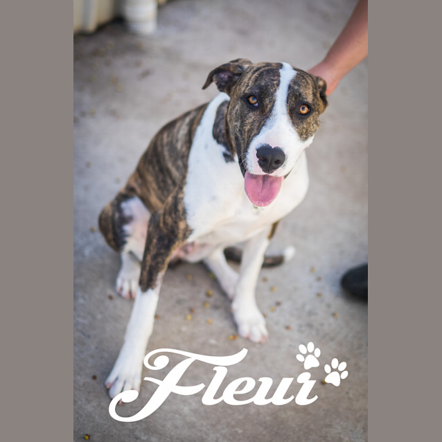 Photo of Fleur