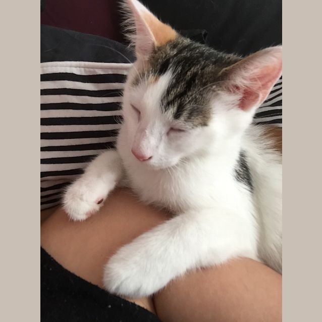 Photo of Cadbury   I'm Sweeter Than Chocolate!