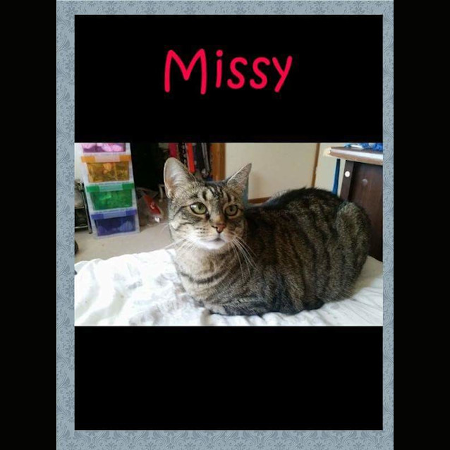 Photo of Missy