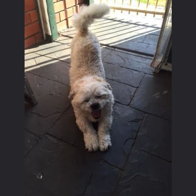 Photo of Sprout