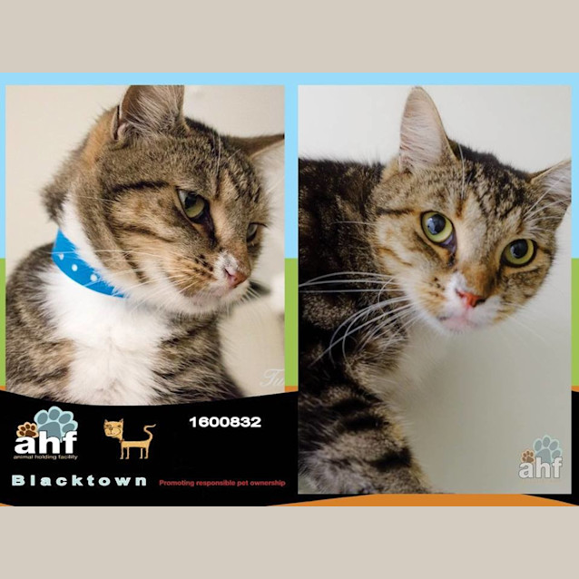 Photo of Carlisle (0832)