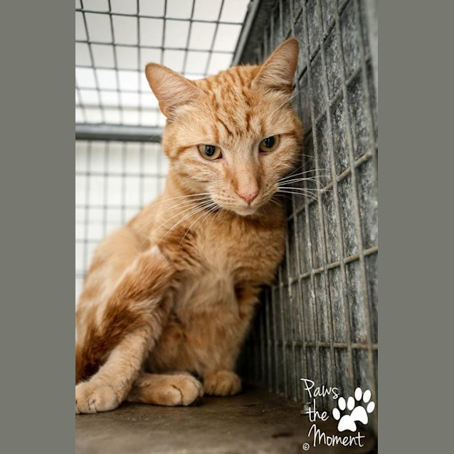 Photo of Clifton (0848)