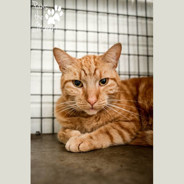 Photo of Clifton (0848)