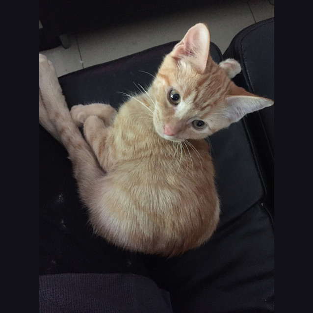 Photo of Eddie