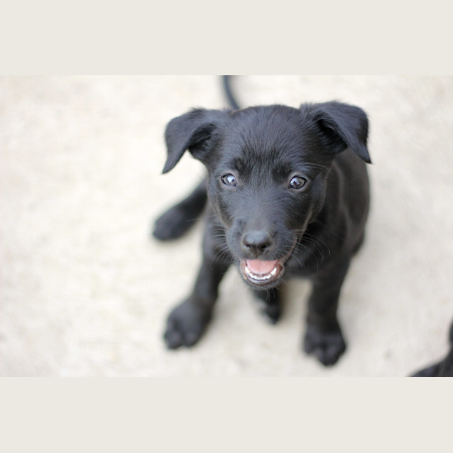 Photo of Skye