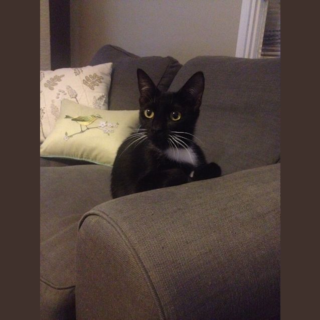 Photo of Hermione