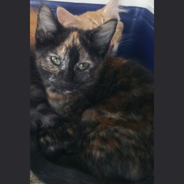 Photo of Mia
