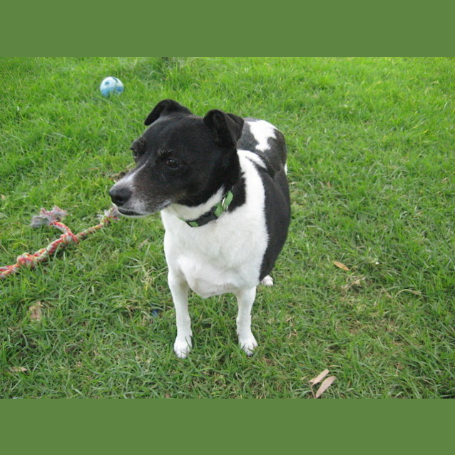 Photo of Patchy