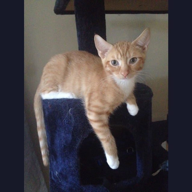 Photo of Marty