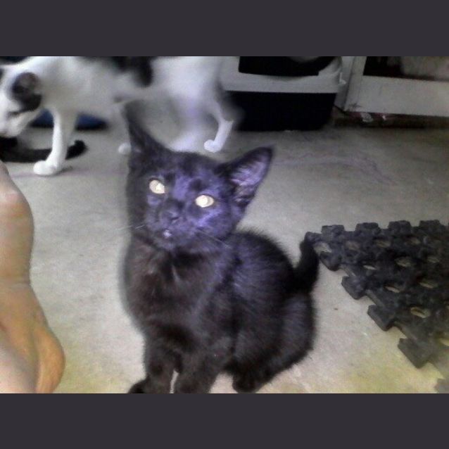 Photo of Zeus