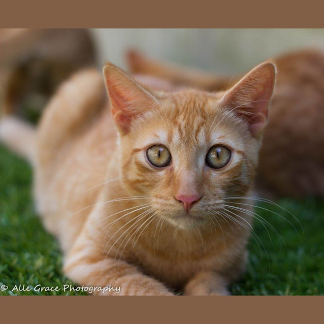 Photo of Tony