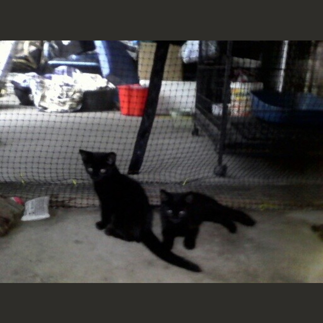 Photo of Morticia