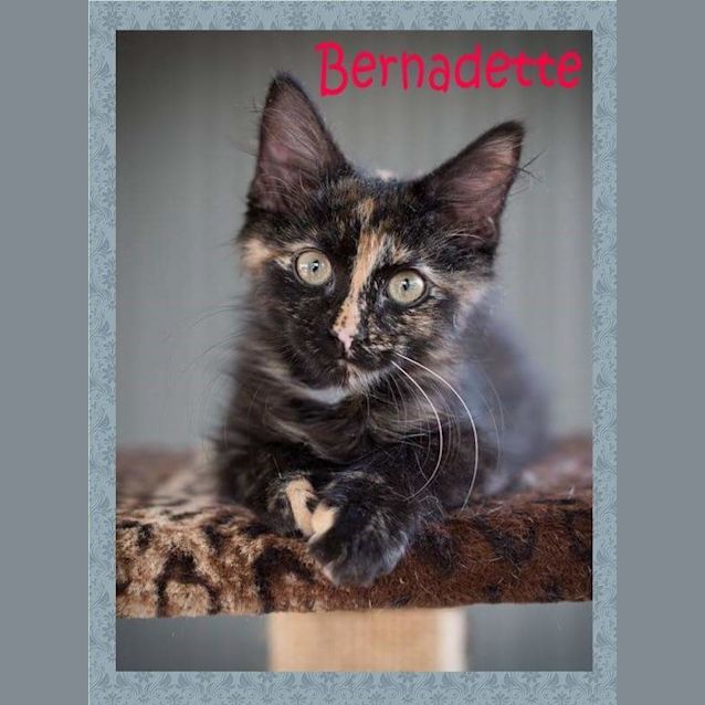 Photo of Bernadette