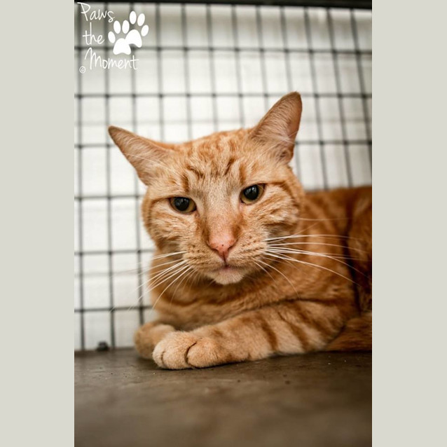 Photo of Clifton (0848)