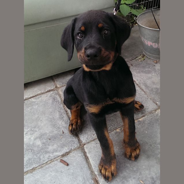 Photo of Id: 30588