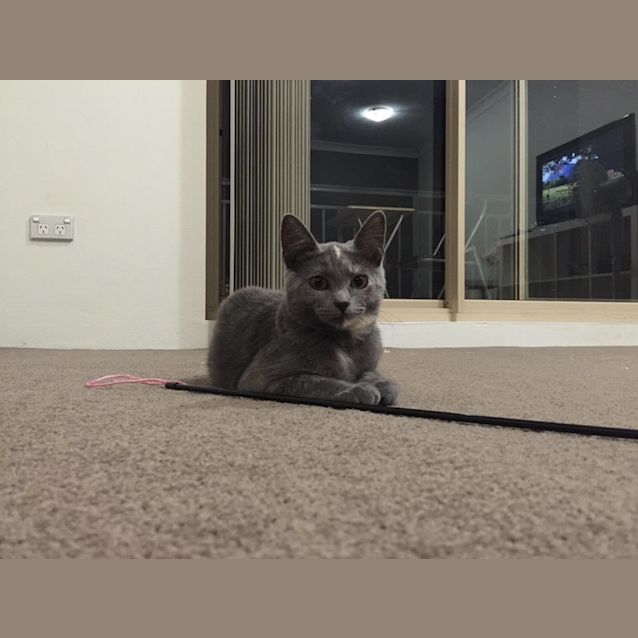 Photo of Britney Blue