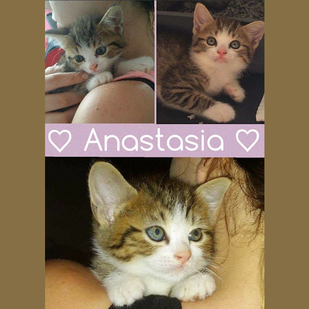 Photo of Anastasia  