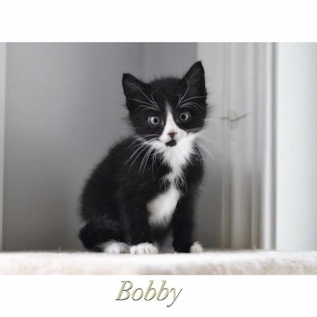 Photo of Bobby