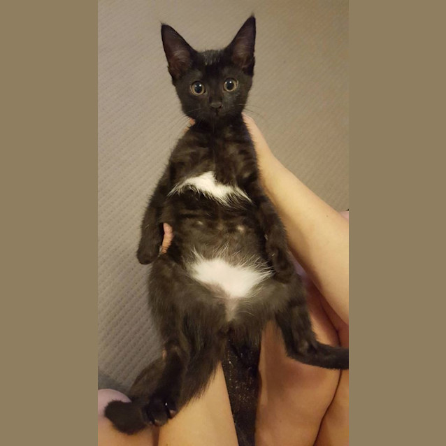 Photo of Ruby * $100 This Month Only! *