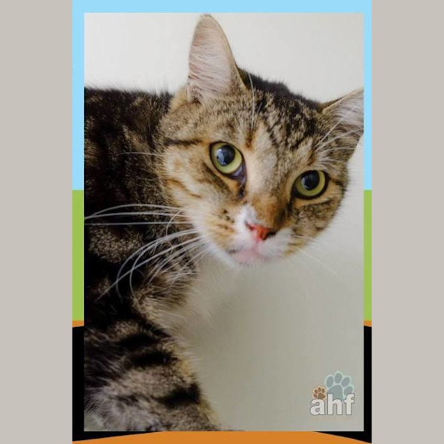 Photo of Carlisle (0832)