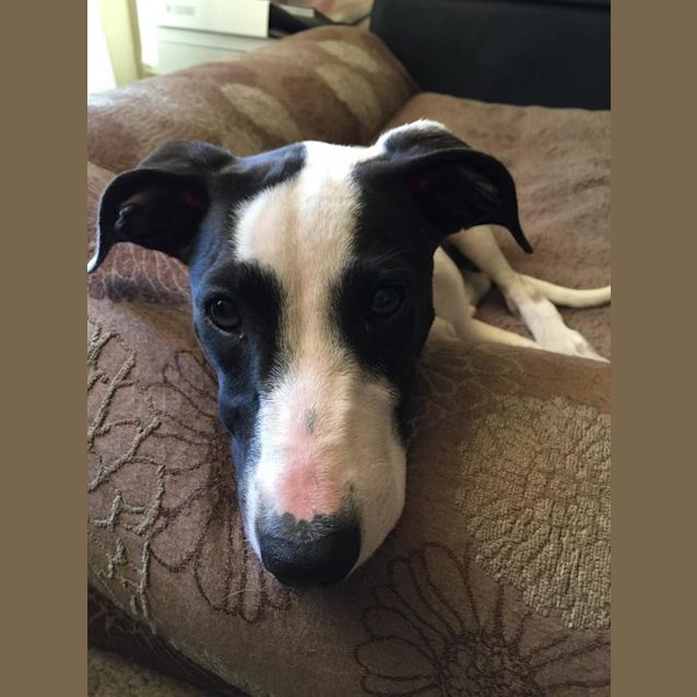 Photo of Betty