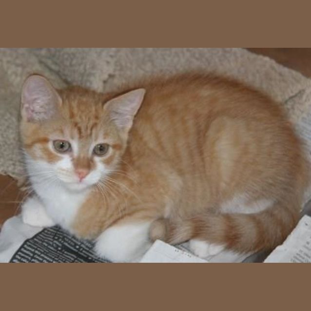 Photo of Charlie