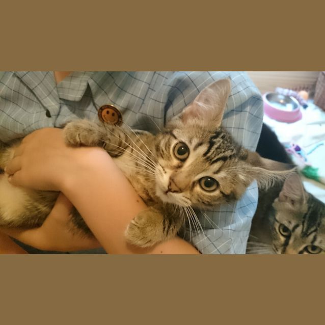 Photo of Asher