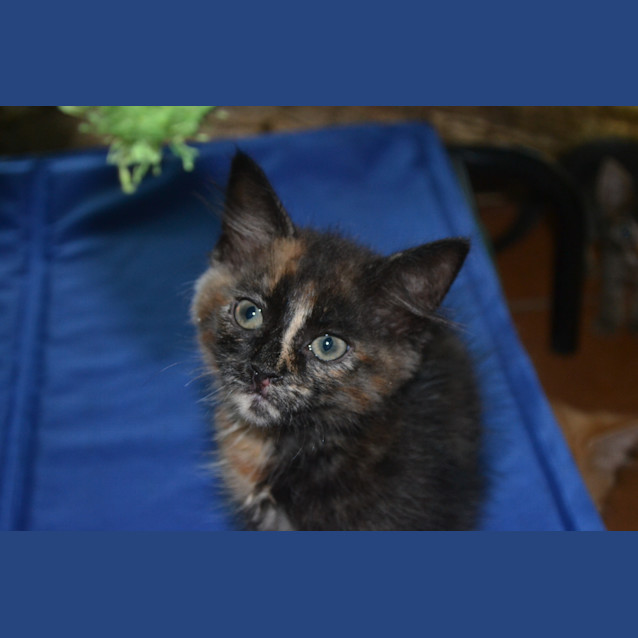 Photo of Libby & Katie