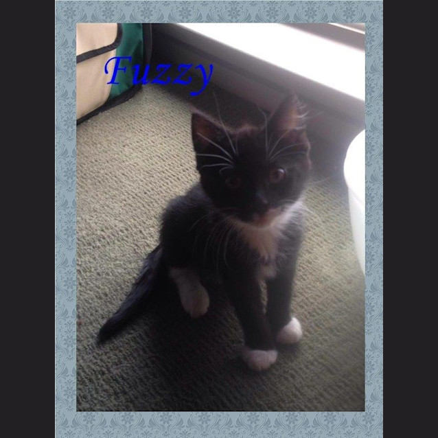 Photo of Fuzzy