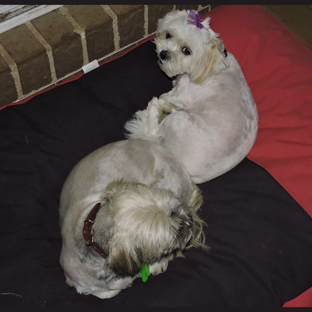 Photo of Molly