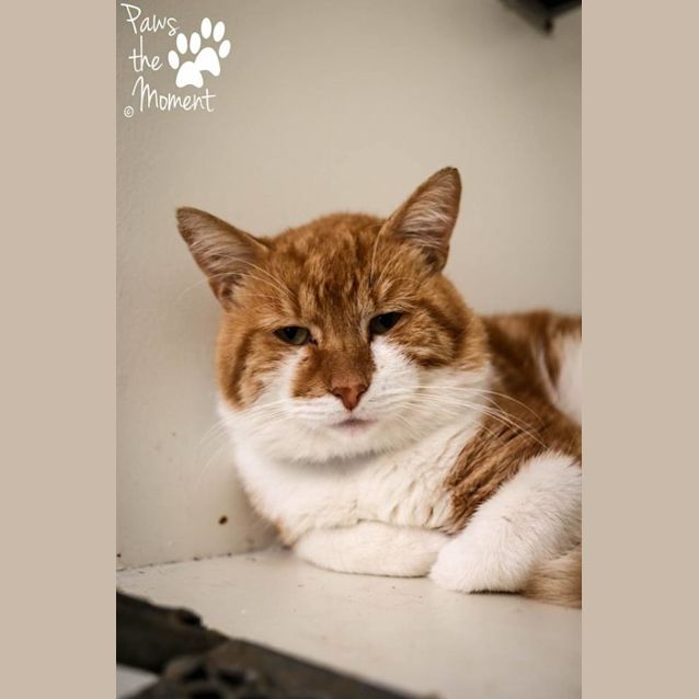 Photo of Durham (0786)