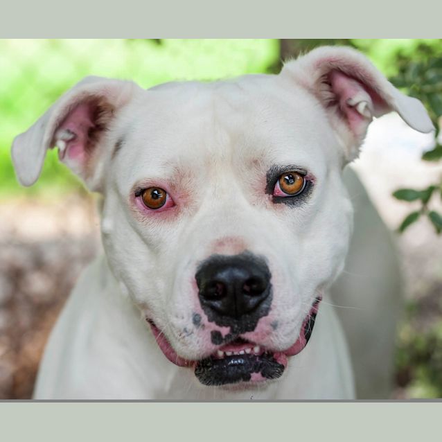 Photo of Chief Id: 29881