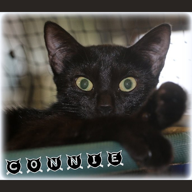 Photo of Connie