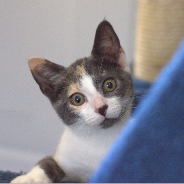 Photo of Dora 