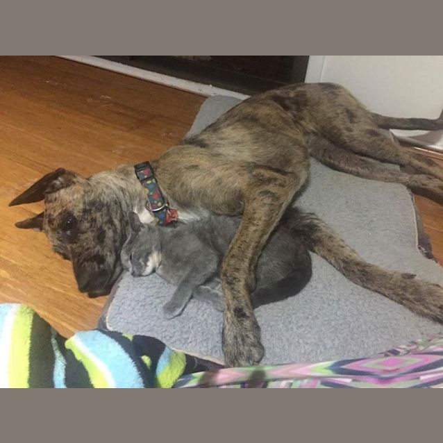 Photo of Britney Blue