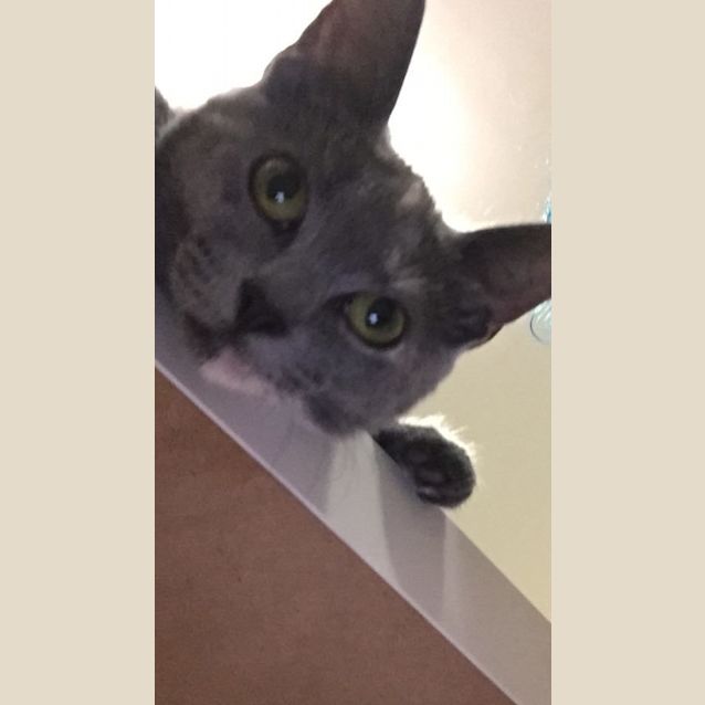 Photo of Britney Blue