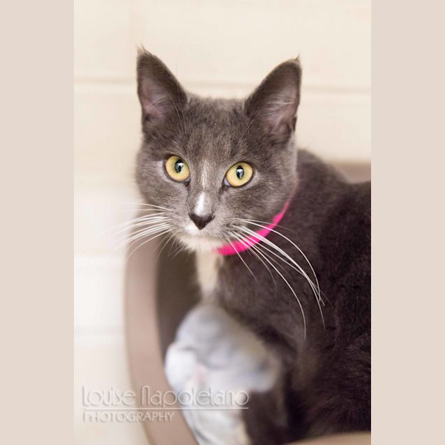 Photo of Cardamon (1991)