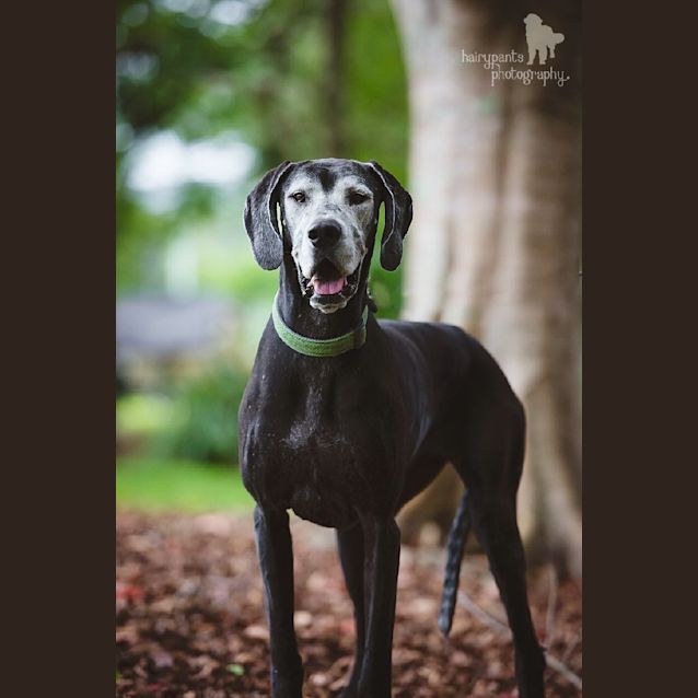 Photo of Zoe (Qld)