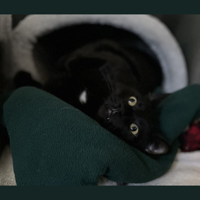 Photo of Manny