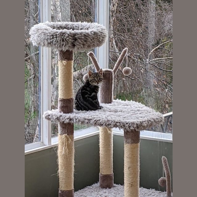 Photo of Marcey