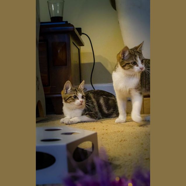 Photo of Faith &  Moxie