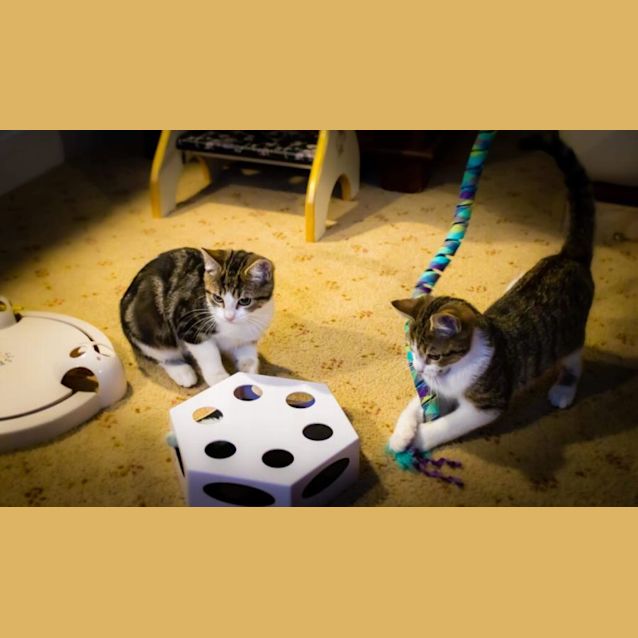 Photo of Faith &  Moxie